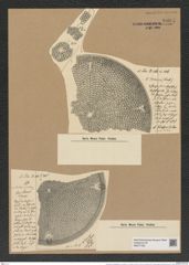 Aulacodiscus margaritaceus var. kinkerii (A. S.) Rattr. (de-Toni-Nr.: Genus 182, Species 4515) Zeichnungen Sammlung Grunow Nr. 8094 (NHMW-BOT-W0377430)